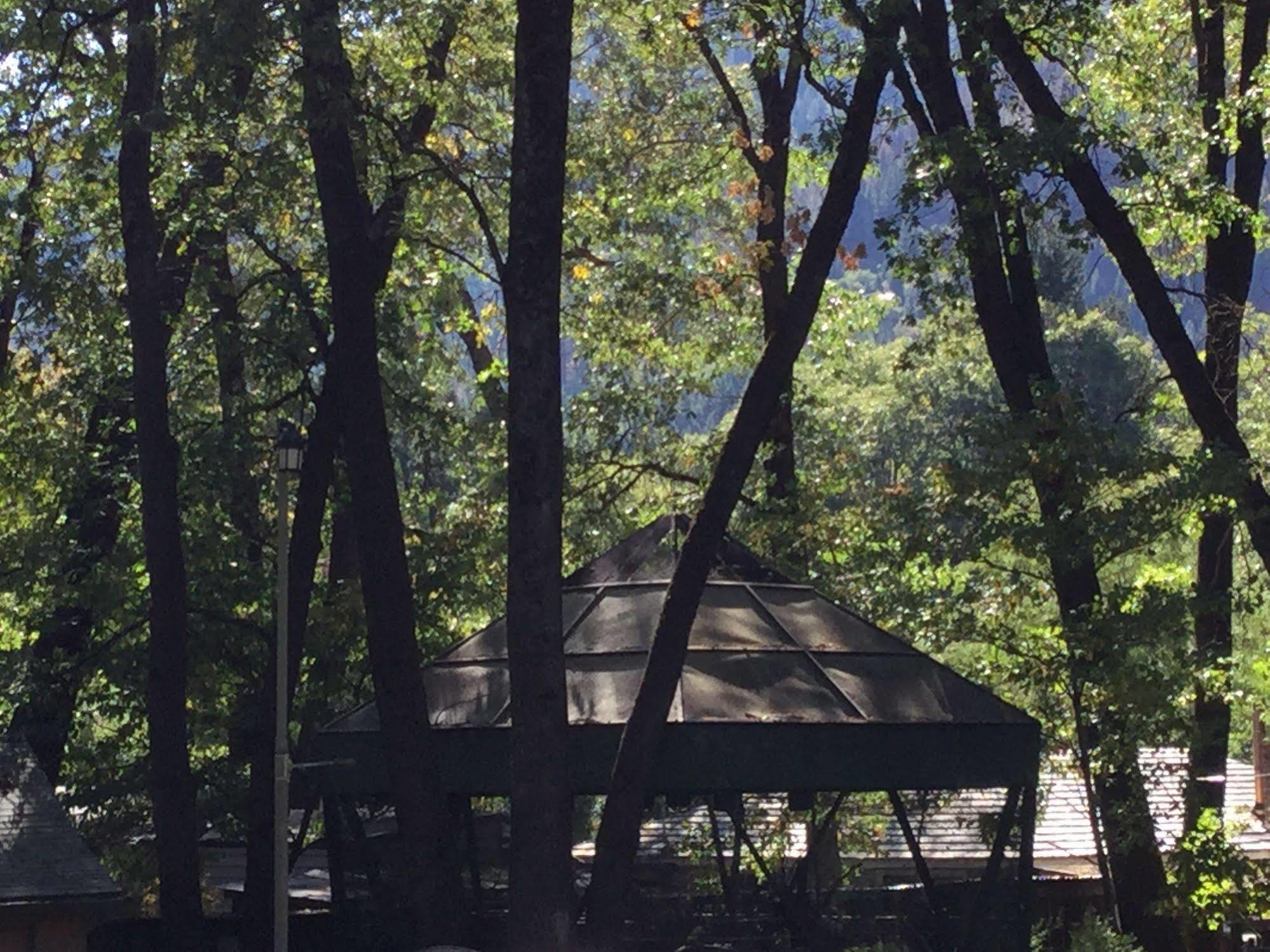 Cedar Lodge Dunsmuir Exteriör bild